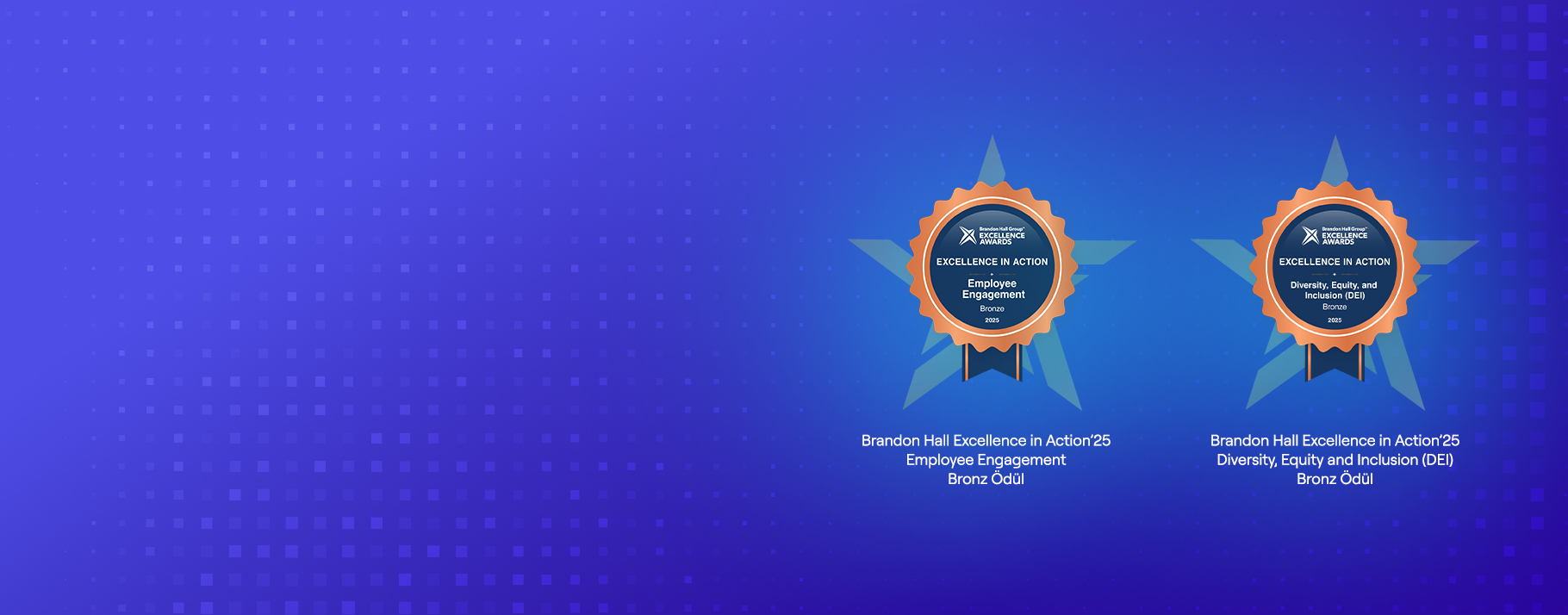 brandon hall excellence awards