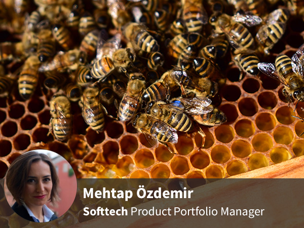 Mehtap Özdemir - Green, Digital, and Purpose-Oriented Startups